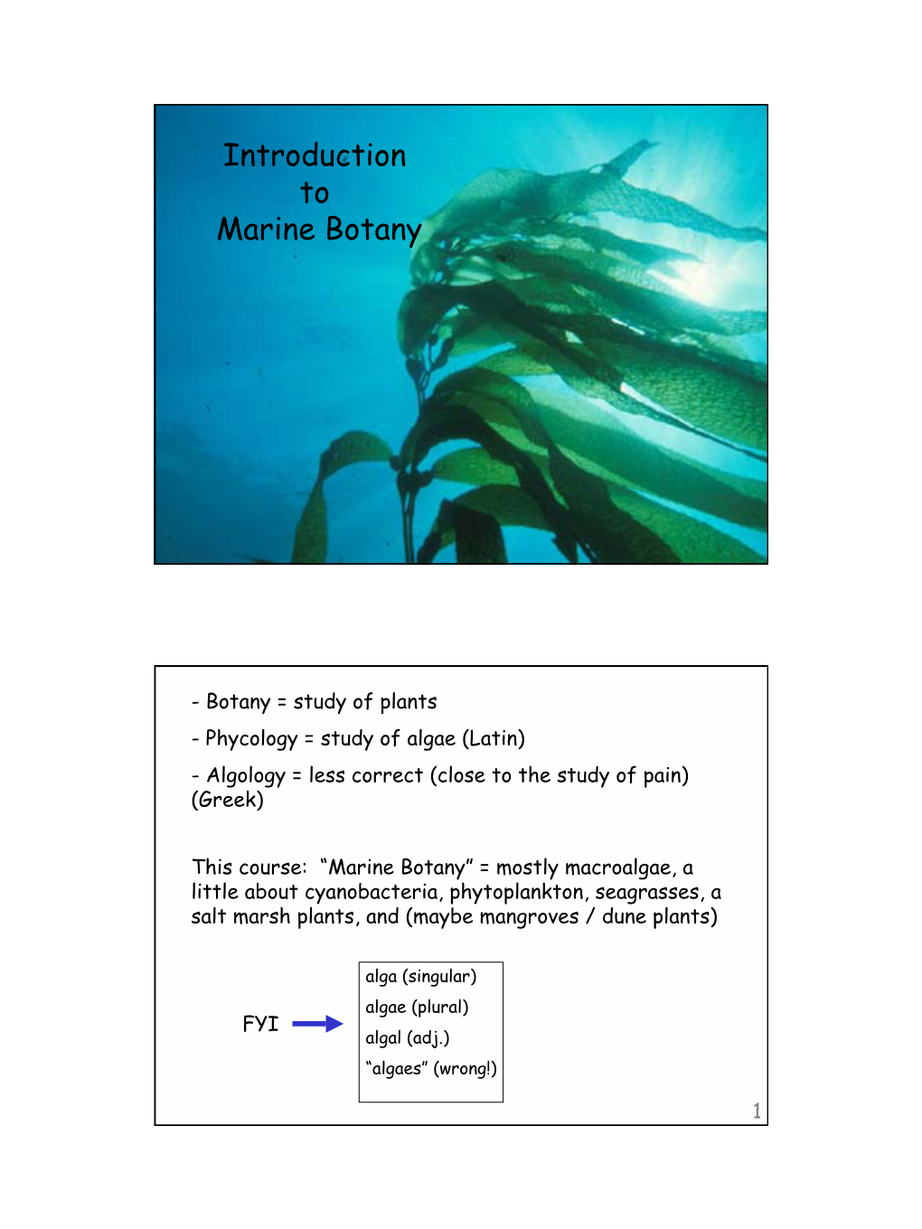 Introduction to Marine Botany