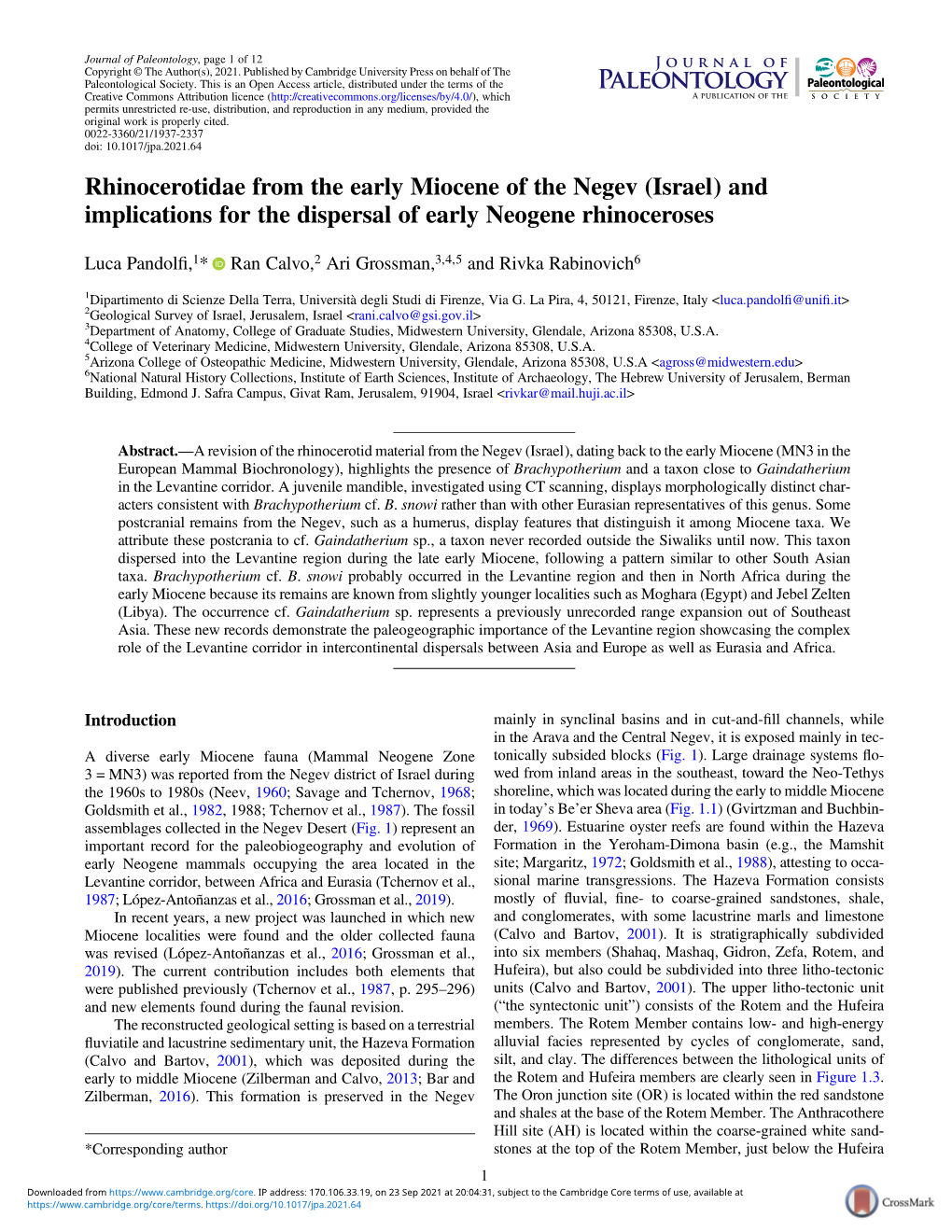 Rhinocerotidae from the Early Miocene of the Negev (Israel) and Implications for the Dispersal of Early Neogene Rhinoceroses