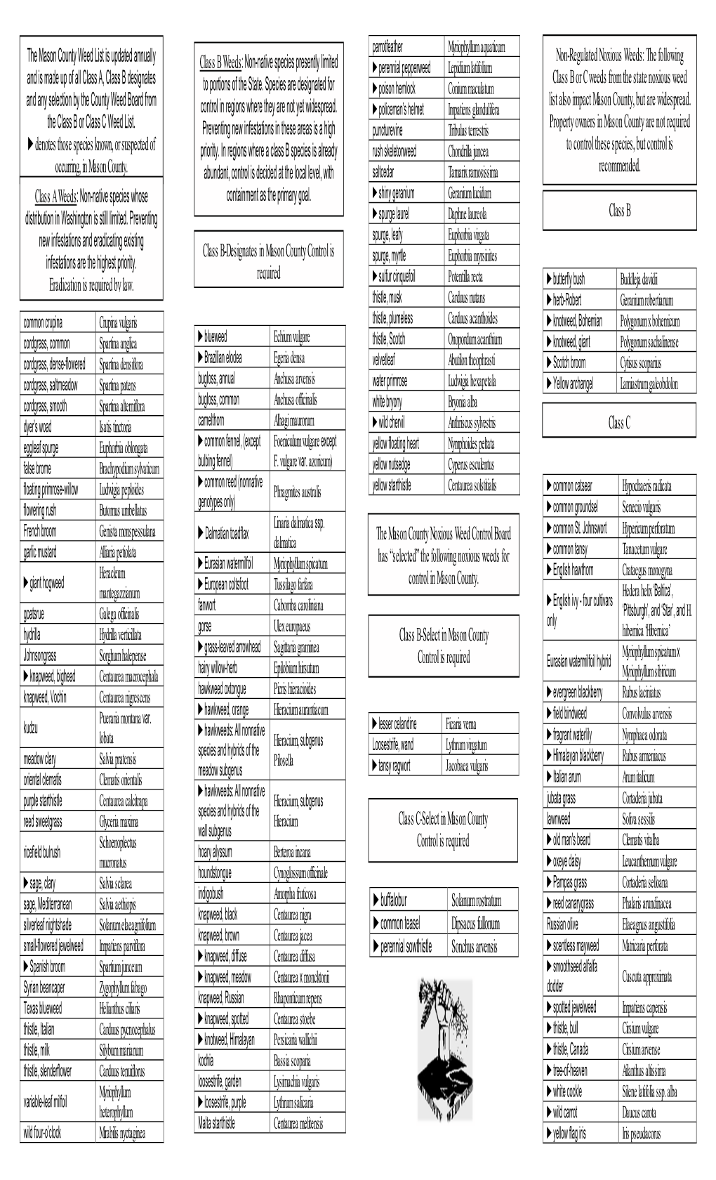 2019 Mason County Noxious Weed List