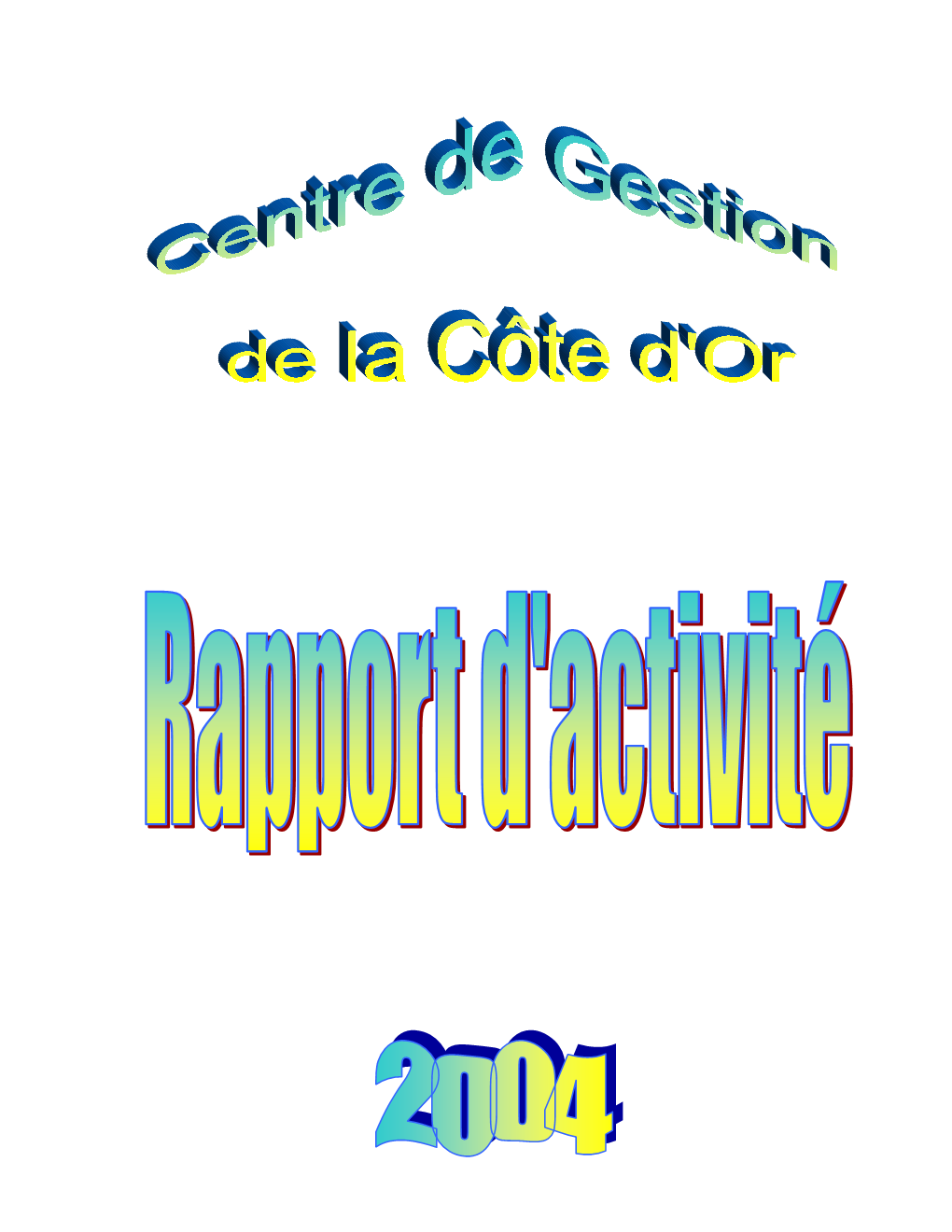 Rapportactivite04.Pdf