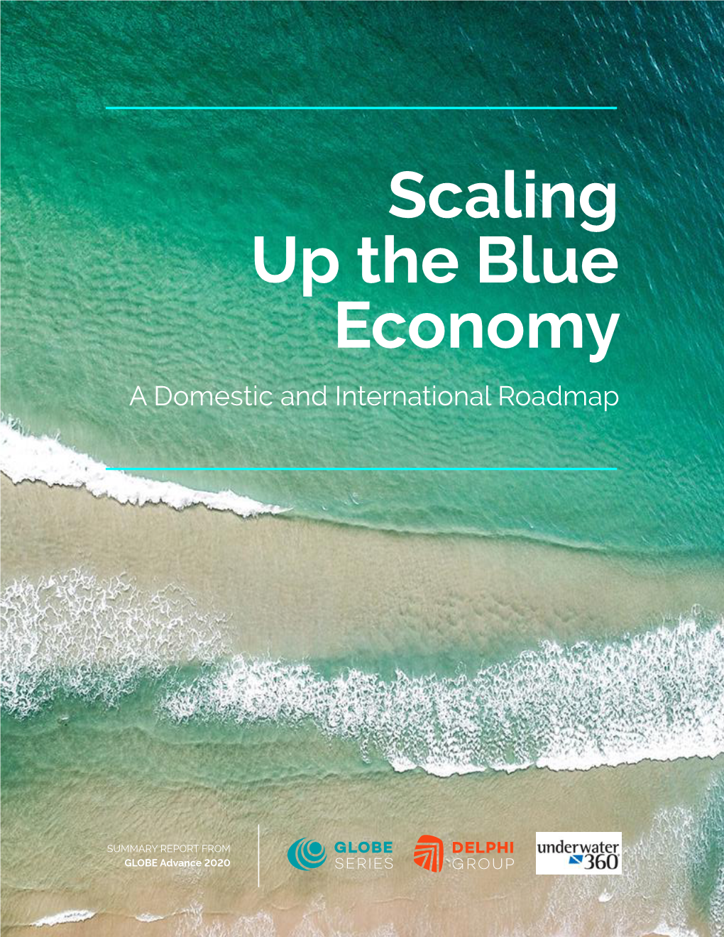 Scaling up the Blue Economy a Domestic and International Roadmap