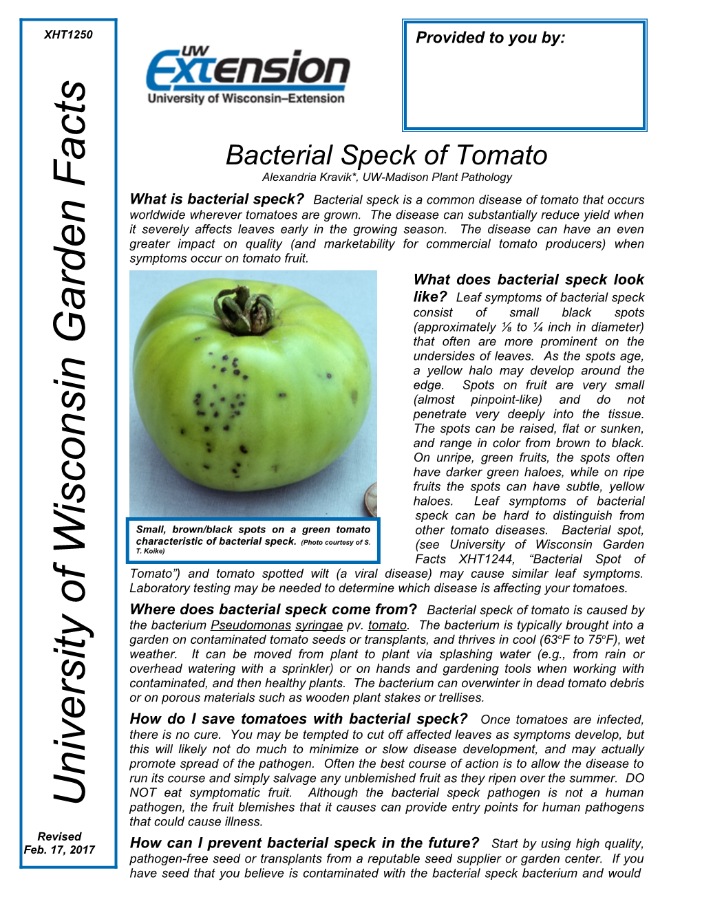 Bacterial Speck of Tomato Alexandria Kravik*, UW-Madison Plant Pathology