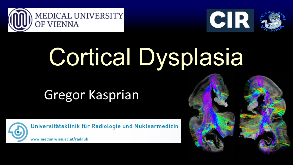 Prenatal Diagnosis of Cerebral Malformations By