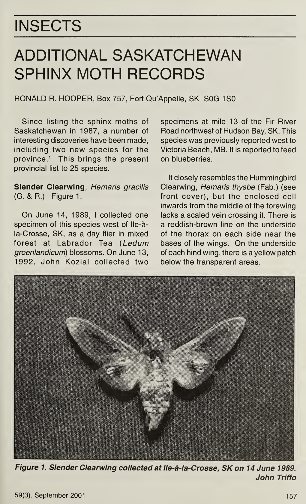 Insects Additional Saskatchewan Sphinx Moth Records