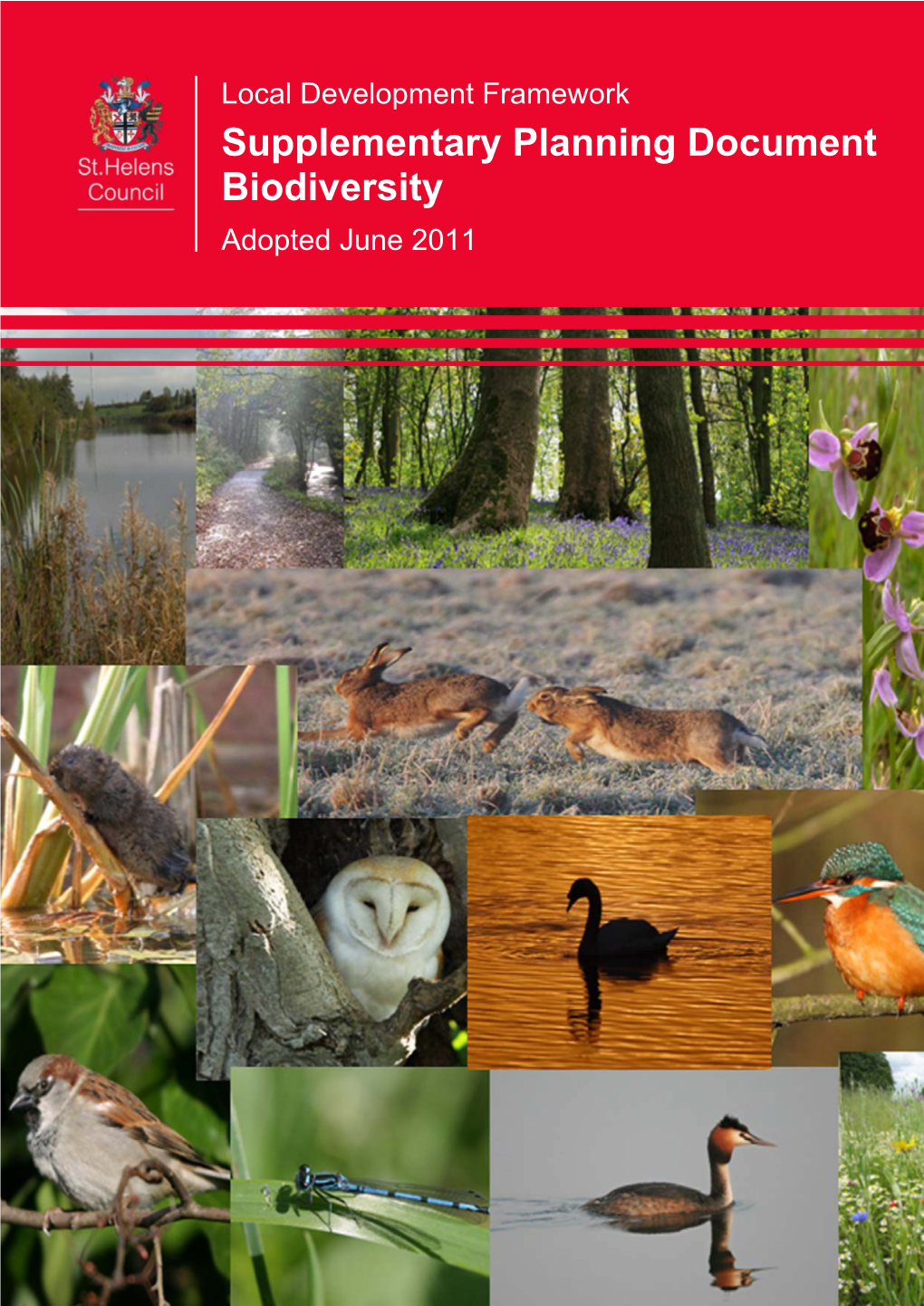 Supplementary Planning Document - Biodiversity Contents