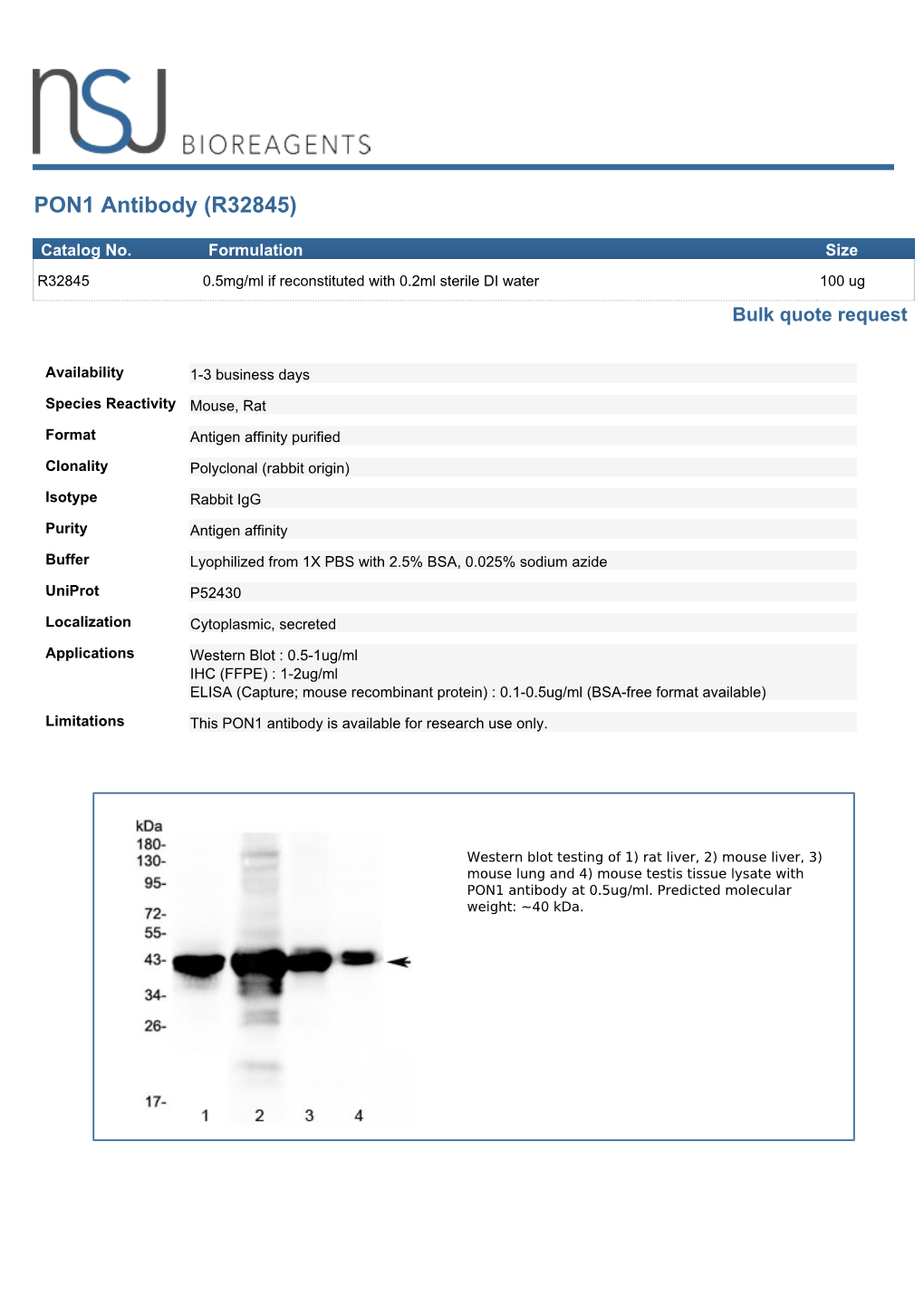 PON1 Antibody (R32845)