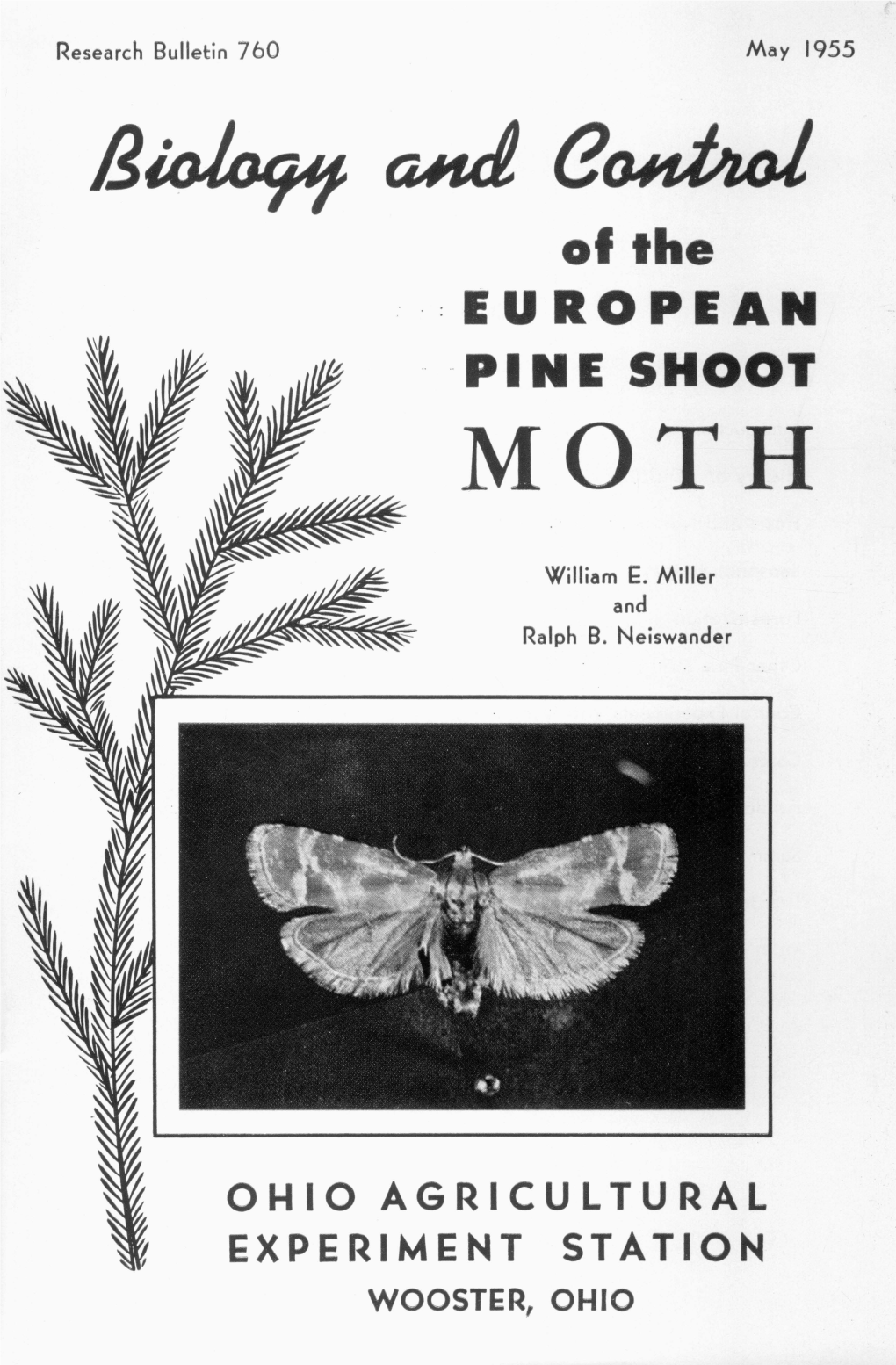 Of the ·=EUROPEAN PINE SHOOT MOTH