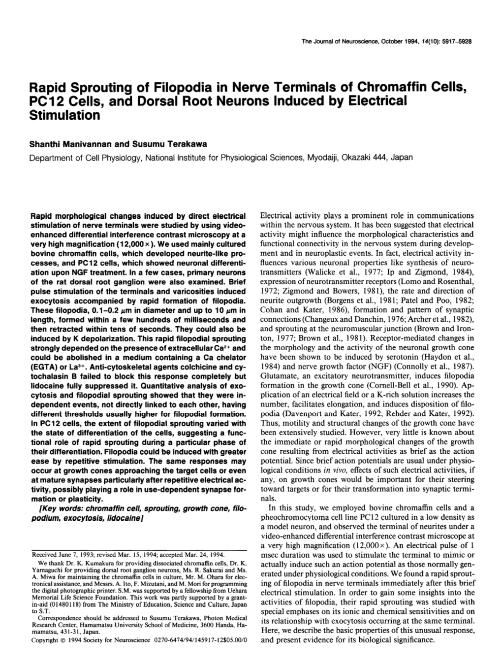 Rapid Sprouting of Filopodia in Nerve Terminals of Chromaffin Cells, PC1 2 Cells, and Dorsal Root Neurons Induced by Electrical Stimulation