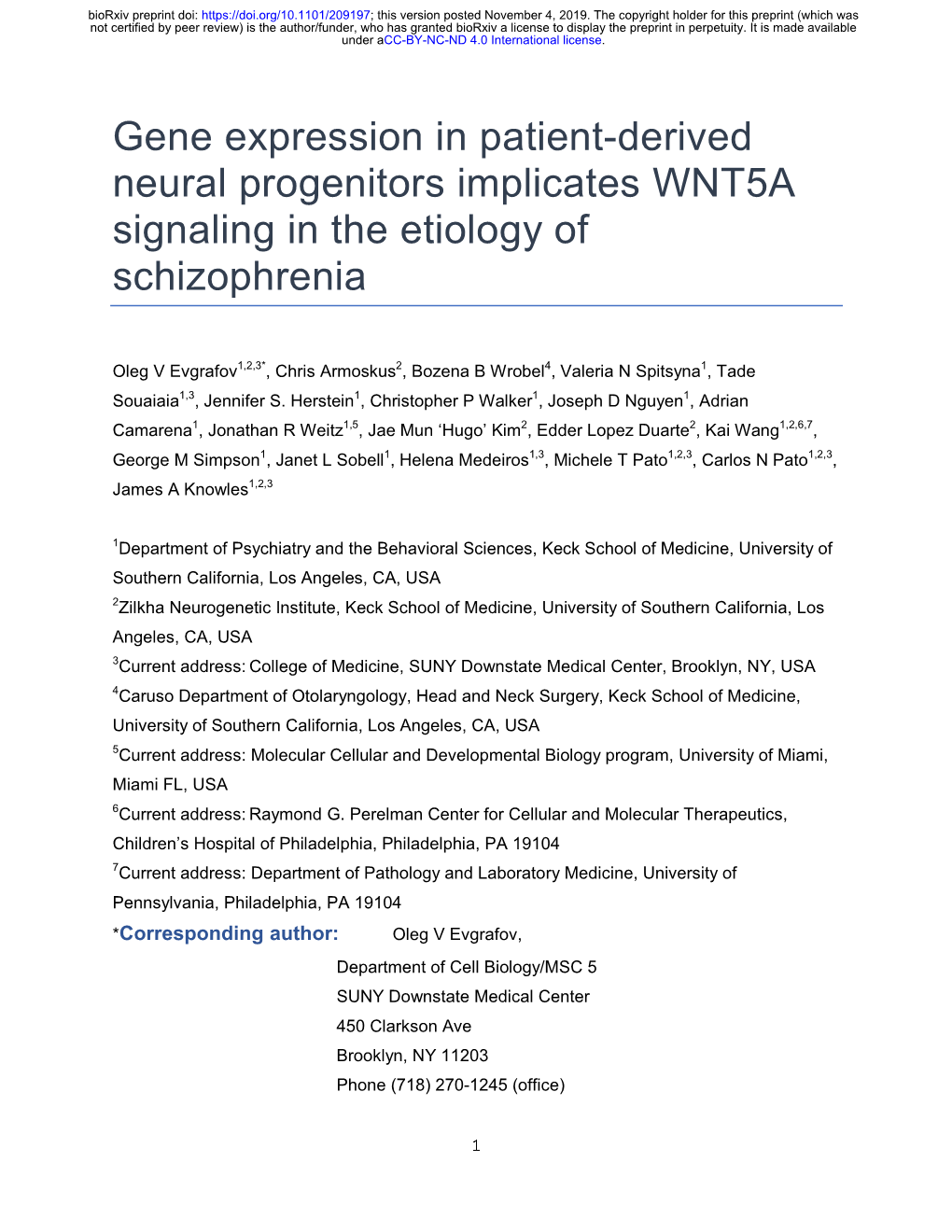 Gene Expression in Patient-Derived Neural Progenitors Implicates WNT5A Signaling in the Etiology Of