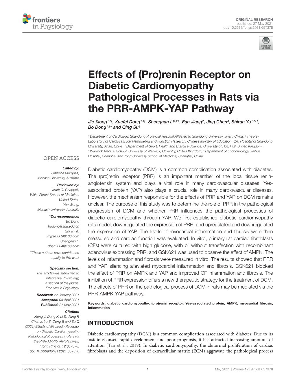 (Pro)Renin Receptor on Diabetic Cardiomyopathy Pathological Processes in Rats Via the PRR-AMPK-YAP Pathway
