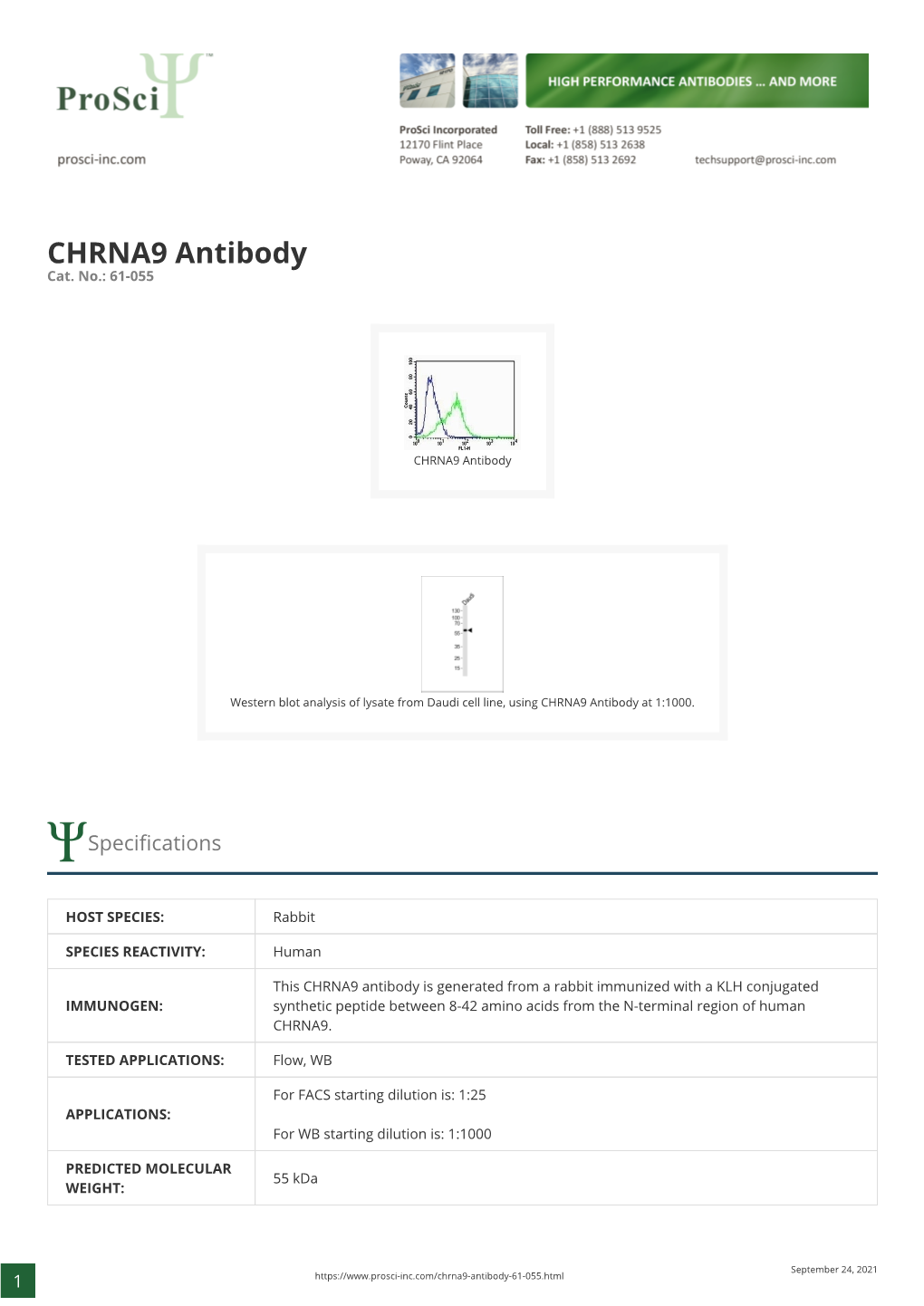 CHRNA9 Antibody Cat