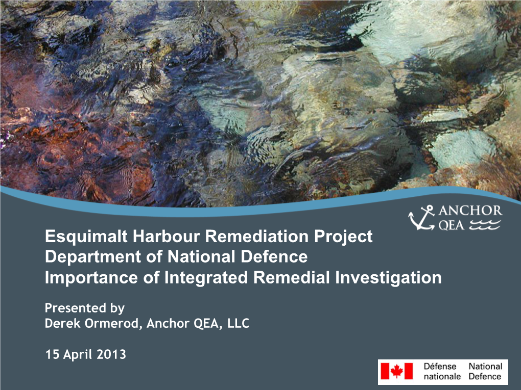 Esquimalt Harbour Remediation Project Department of National Defence Importance of Integrated Remedial Investigation