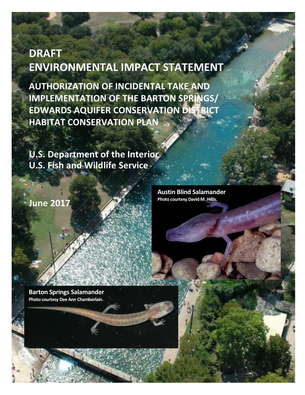 Draft Environmental Impact Statement