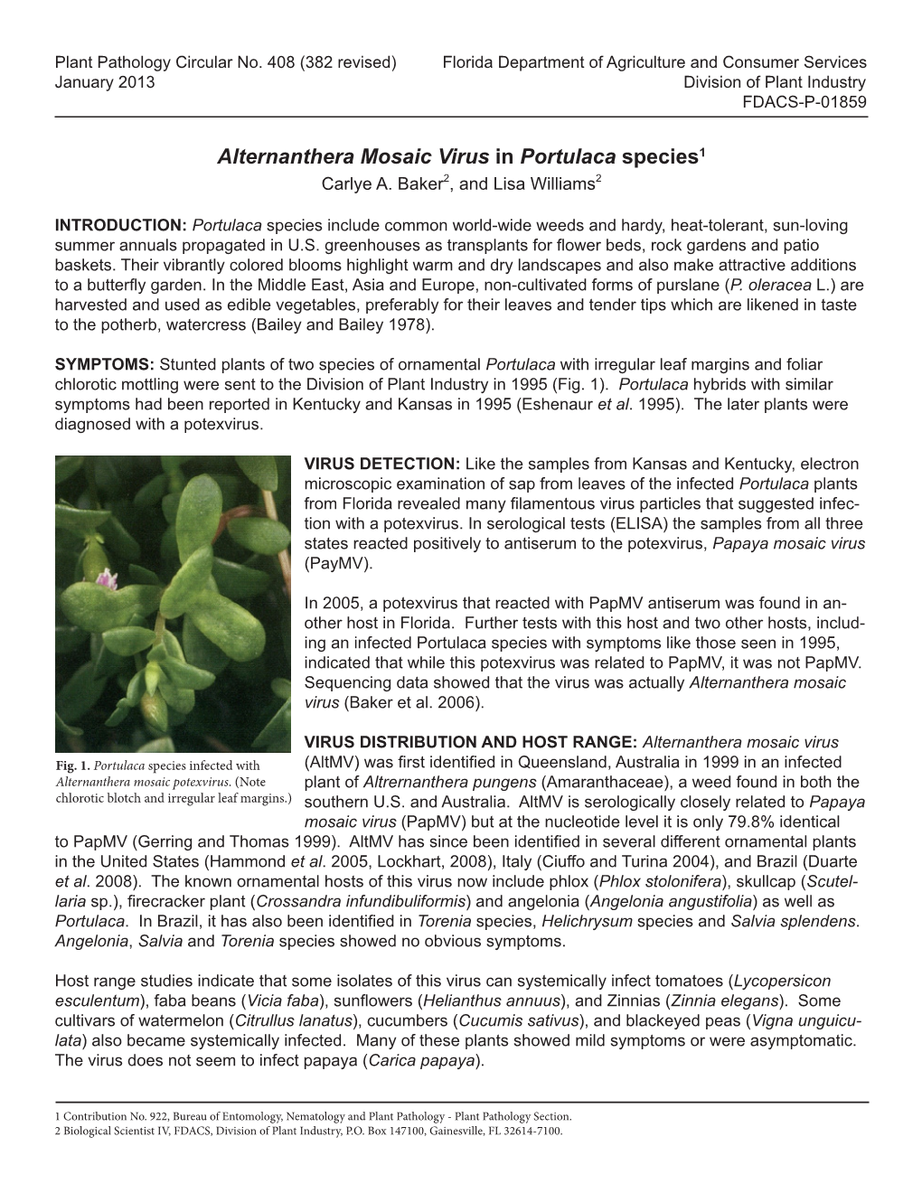 Alternanthera Mosaic Virus in Portulaca Species1 Carlye A