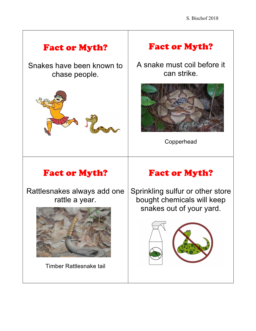 Fact Or Myth? Fact Or Myth? Fact Or Myth? Fact Or Myth?