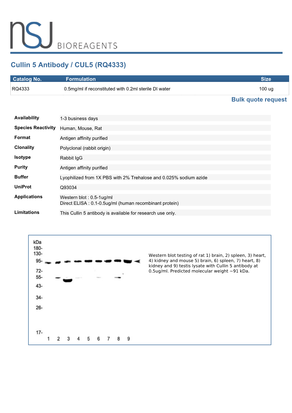 Cullin 5 Antibody / CUL5 (RQ4333)