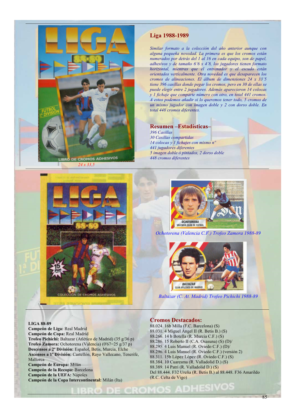 Liga 1988-1989 Resumen