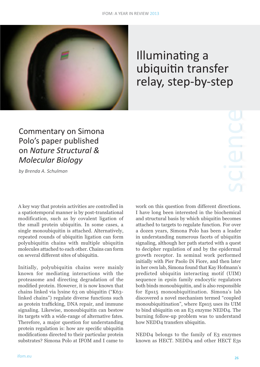 Illuminating a Ubiquitin Transfer Relay, Step-By-Step
