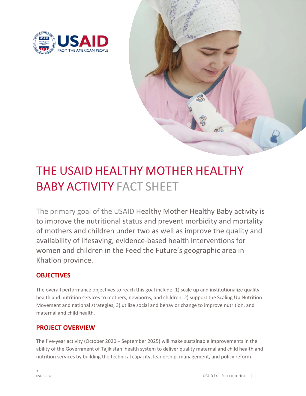 The Usaid Healthy Mother Healthy Baby Activity Fact Sheet