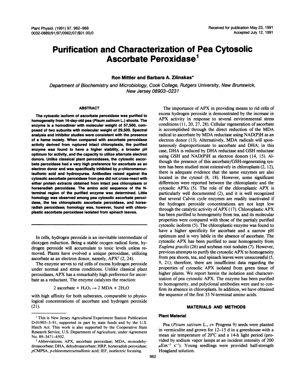 Purification and Characterization of Pea Cytosolic Ascorbate Peroxidase'