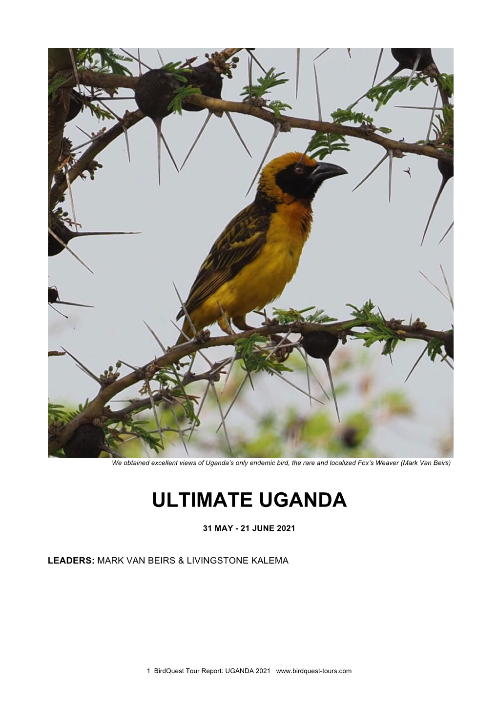 Ultimate Uganda