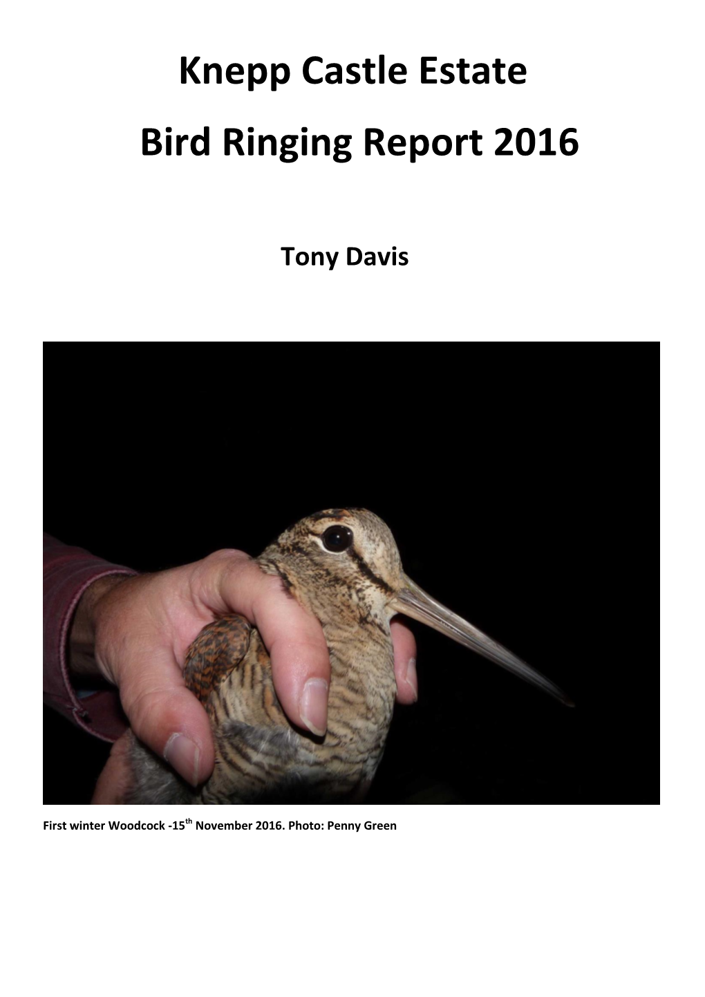 Knepp Castle Estate Bird Ringing Report 2016