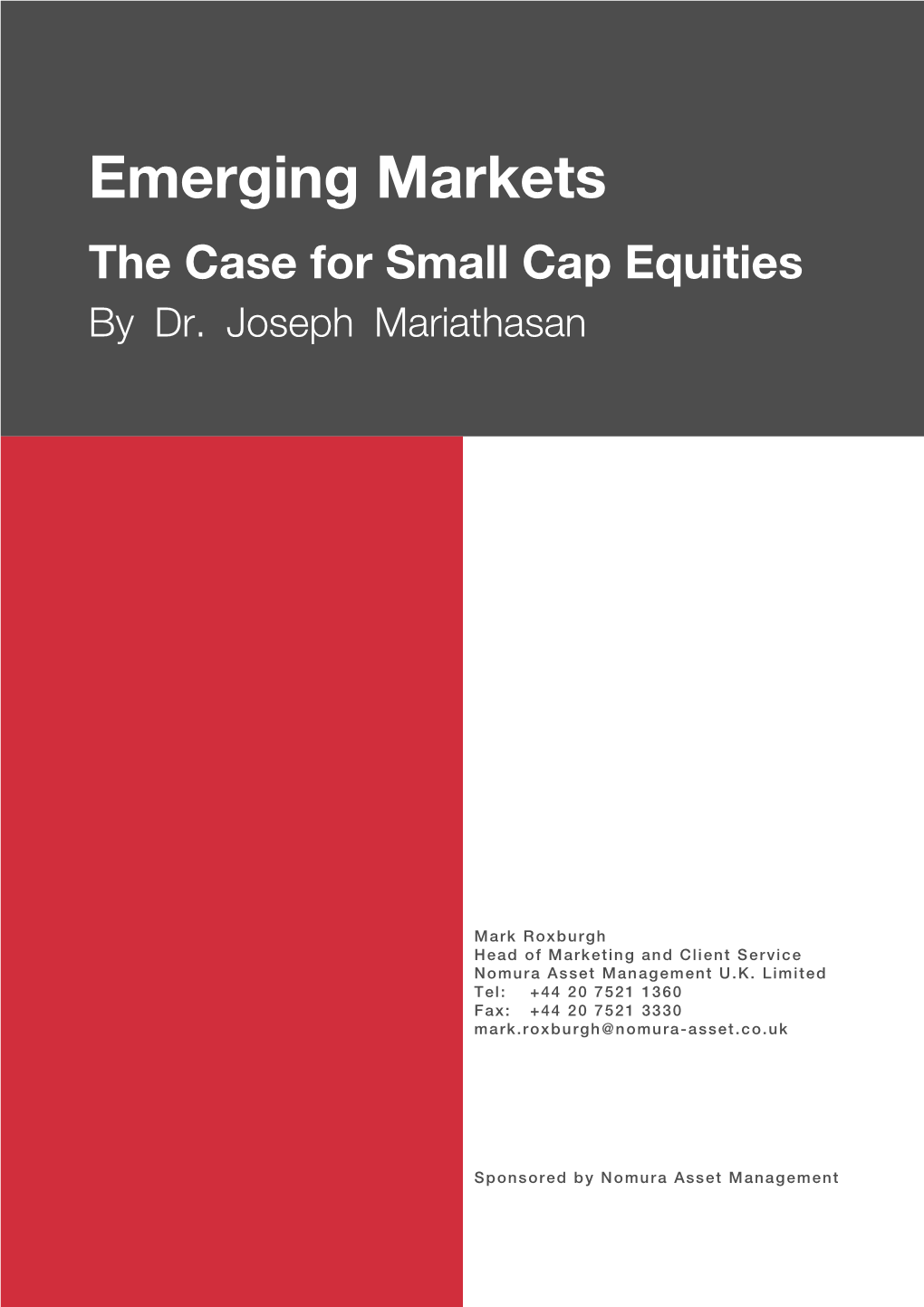 Emerging Markets the Case for Small Cap Equities by Dr