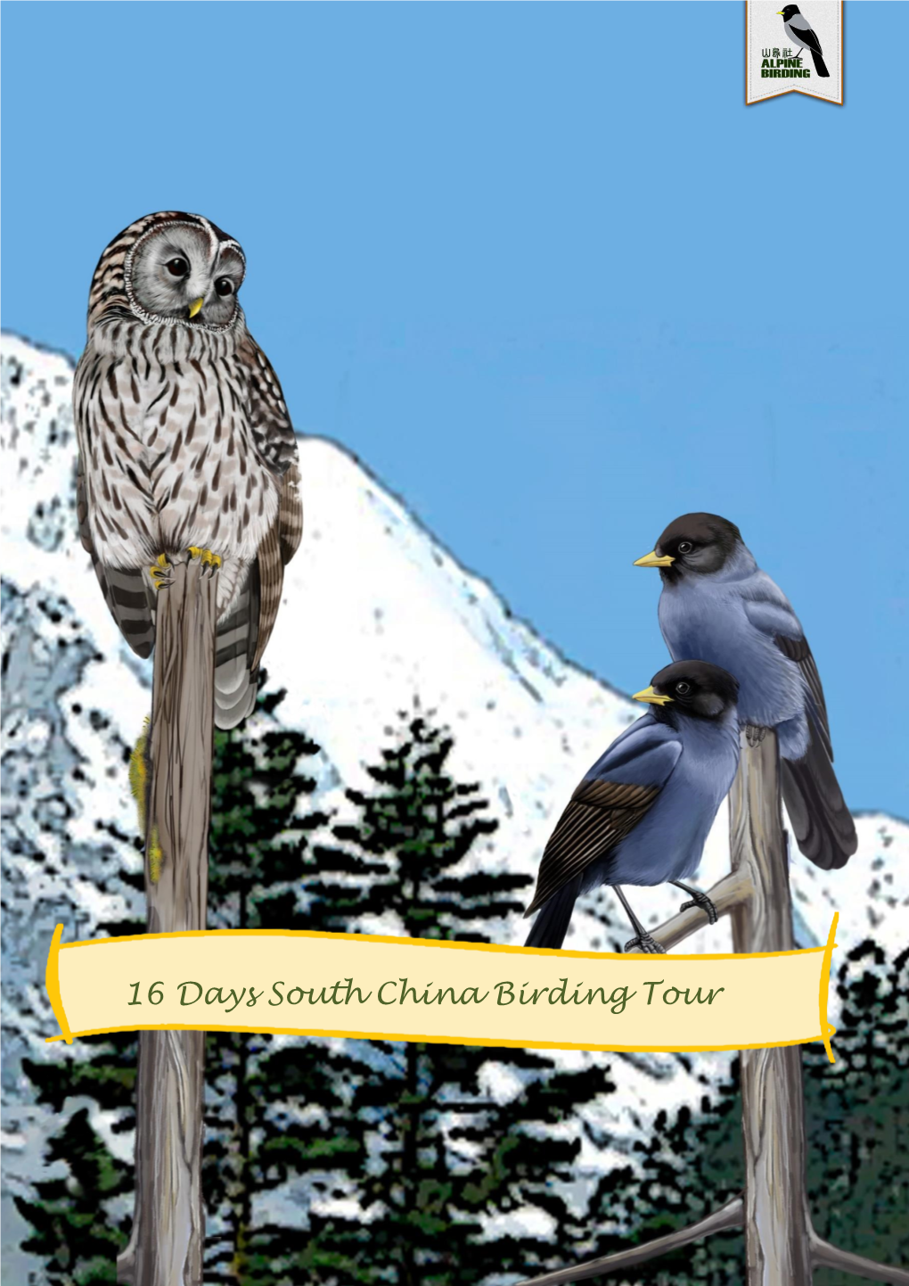 16 Days South China Birding Tour