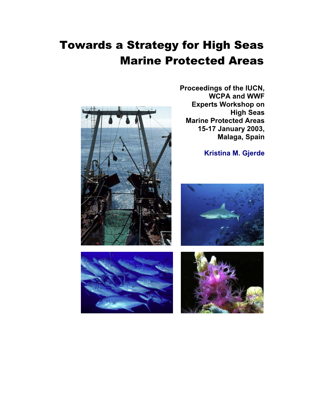 Towards a Strategy for High Seas Marine Protected Areas