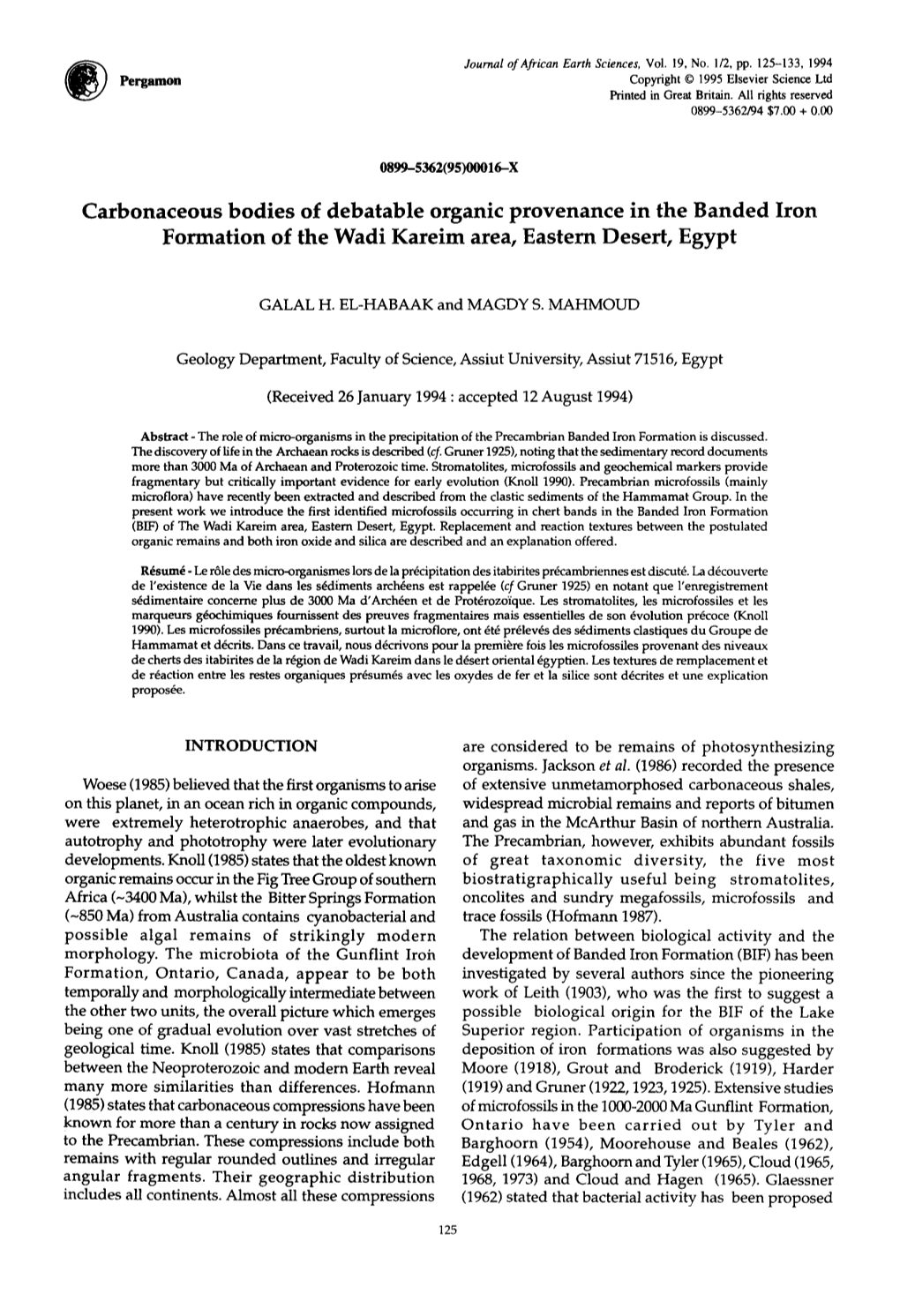 Carbonaceous Bodies of Debatable Organic Provenance in the Banded Iron Formation of the Wadi Kareim Area, Eastern Desert, Egypt