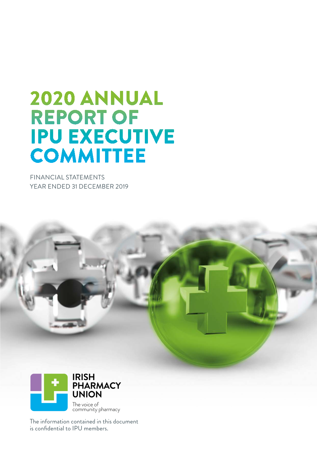 2020 Annual Report of Ipu Executive Committee Financial Statements Year Ended 31 December 2019