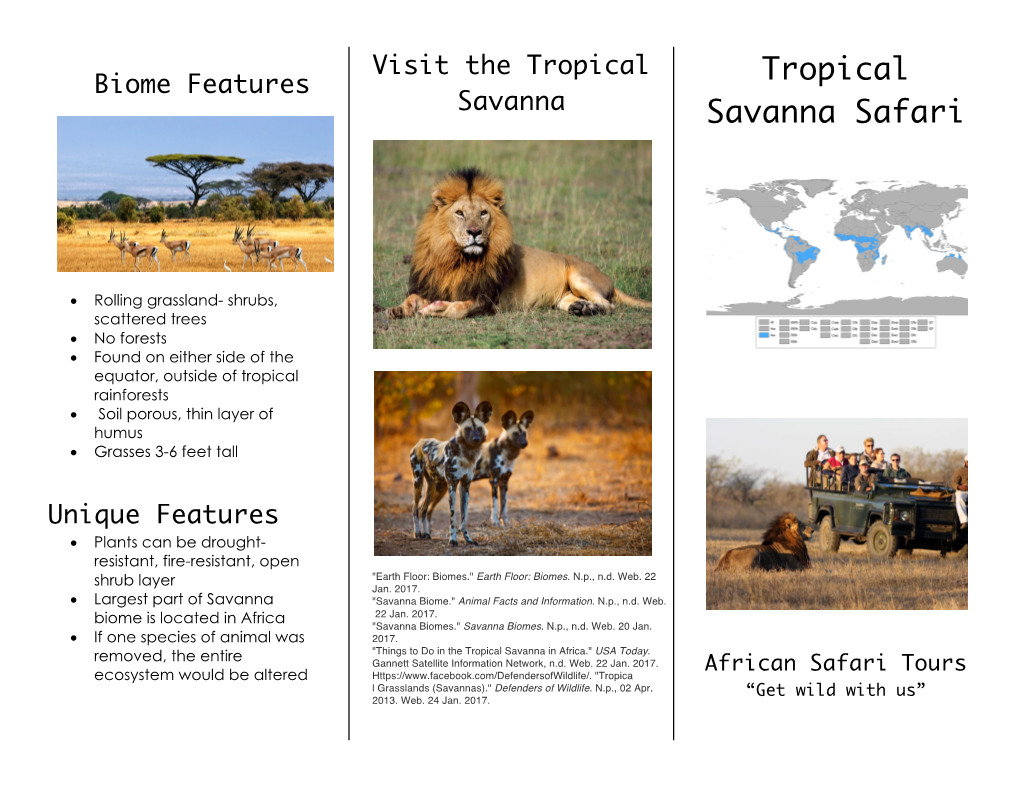 Tropical Savanna Safari
