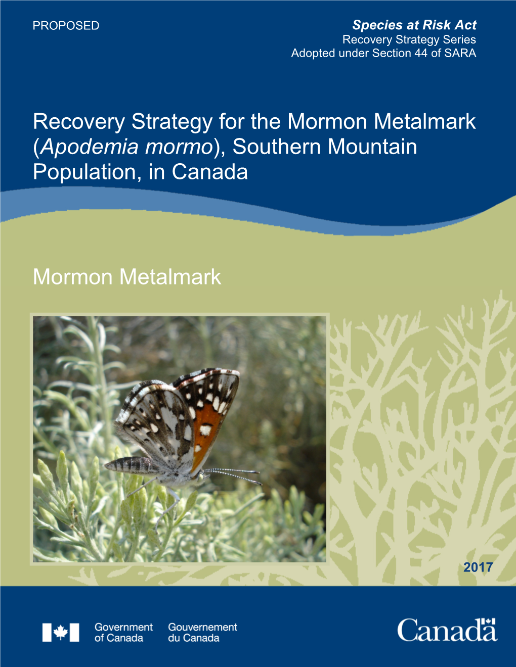 Mormon Metalmark (Apodemia Mormo), Southern Mountain Population, in Canada