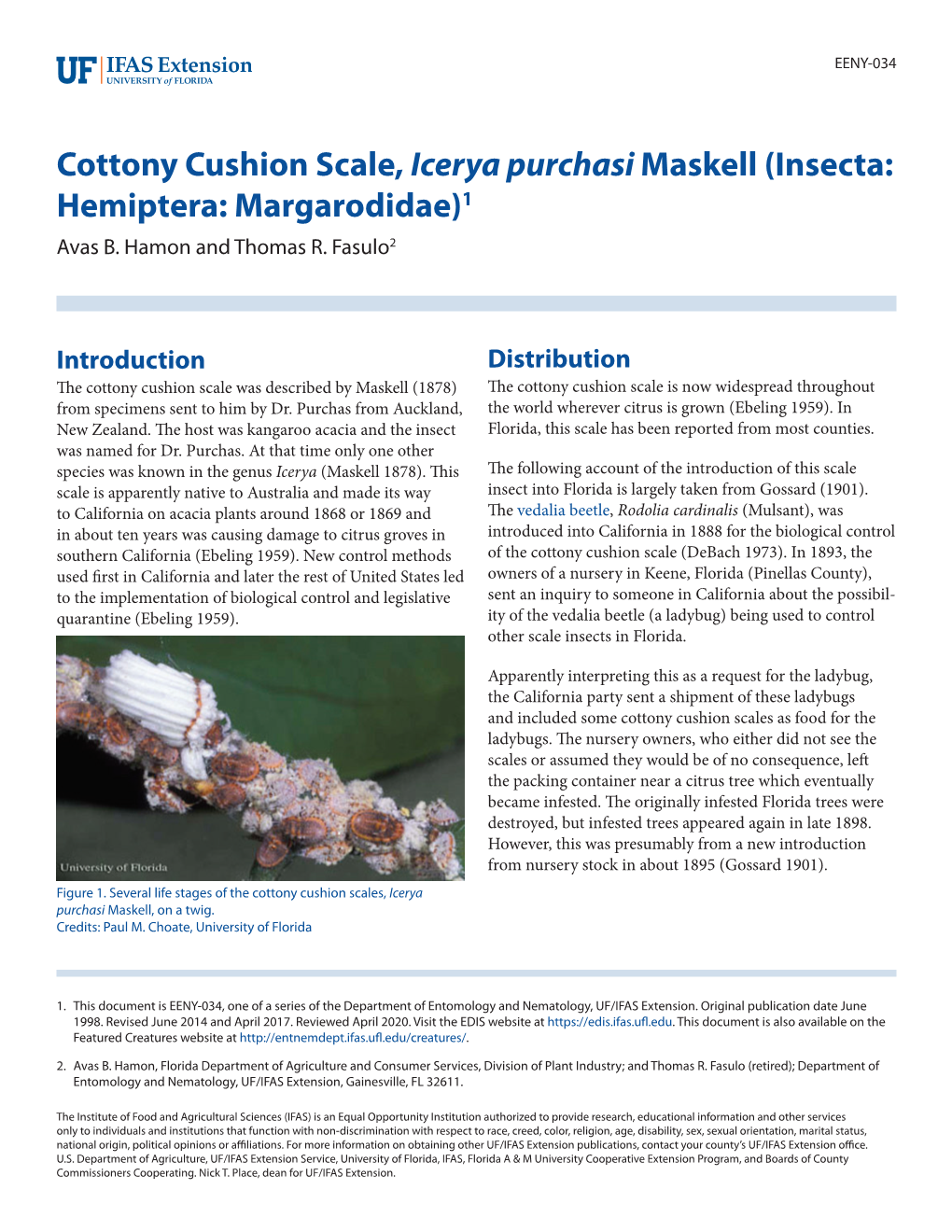 Cottony Cushion Scale, Icerya Purchasi Maskell (Insecta: Hemiptera: Margarodidae)1 Avas B