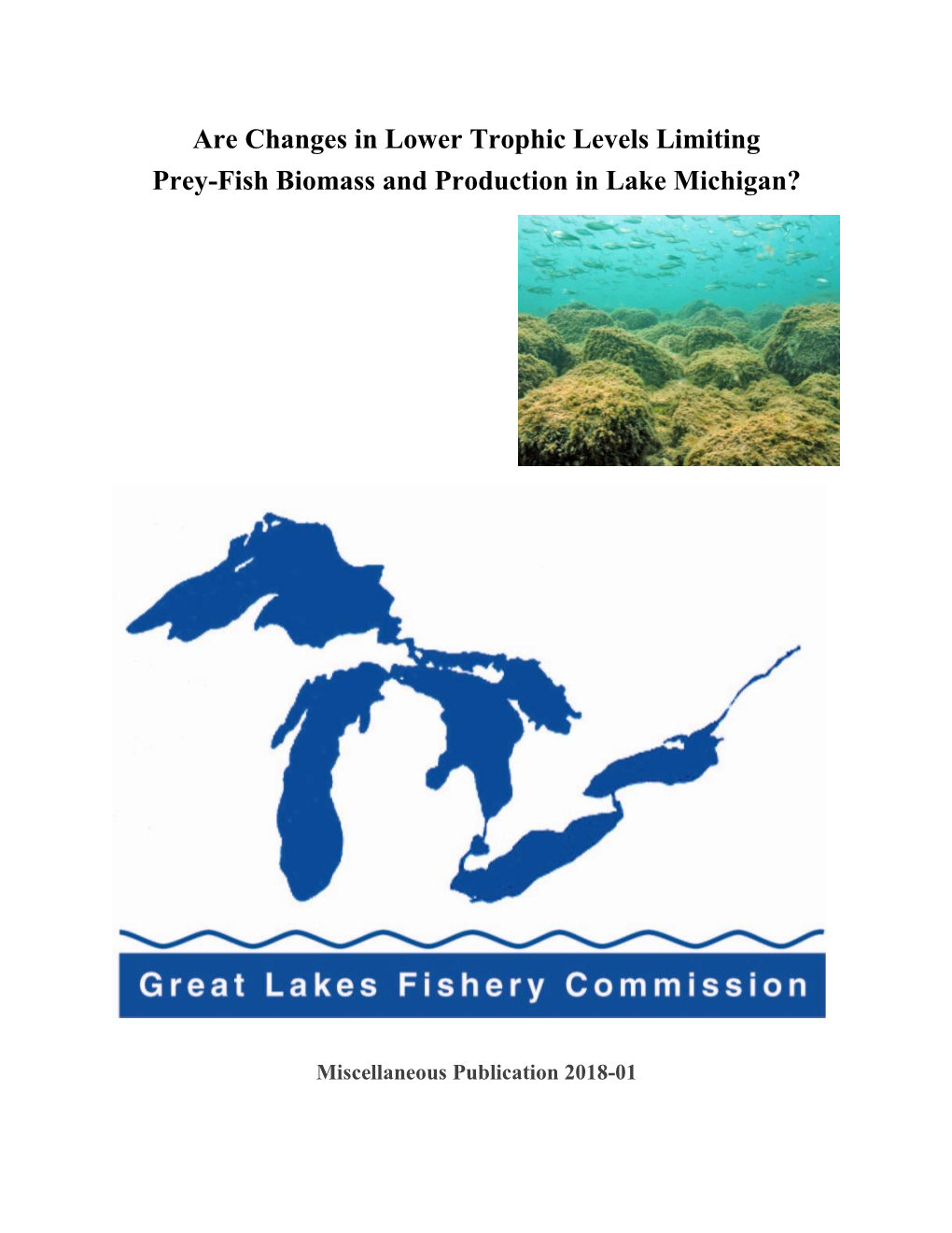 Are Changes in Lower Trophic Levels Limiting Prey-Fish Biomass and Production in Lake Michigan?