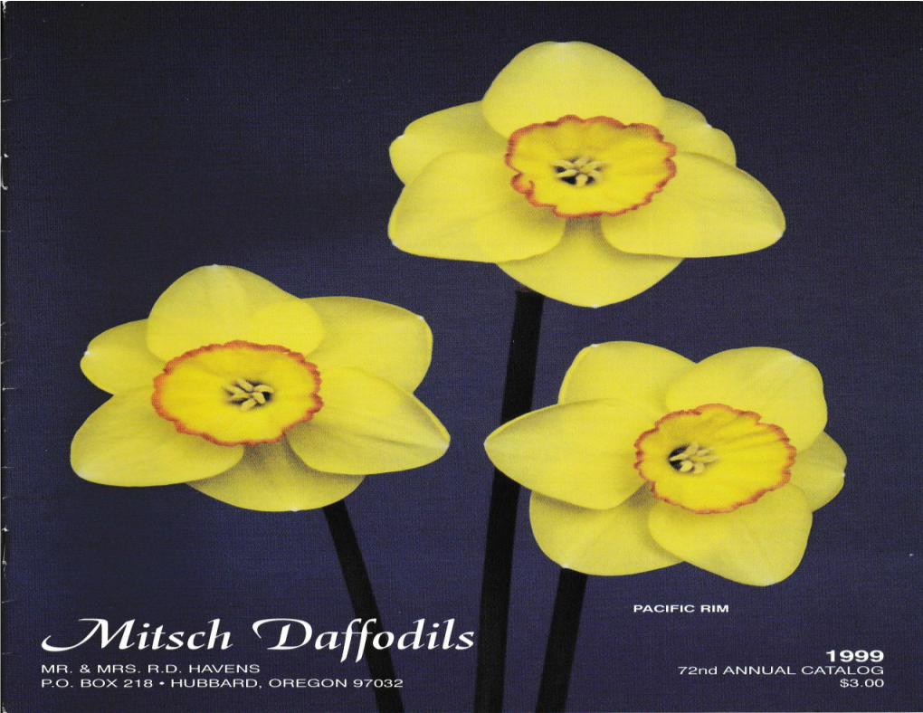 Mitsch Daffodils 1999