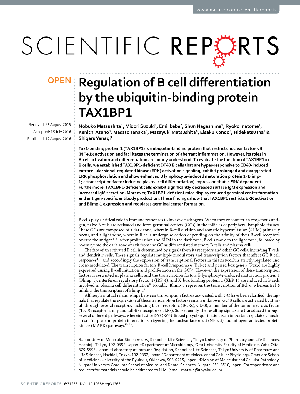 Regulation of B Cell Differentiation by the Ubiquitin-Binding Protein