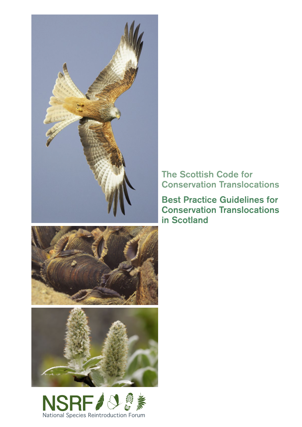 The Scottish Code for Conservation Translocations Best Practice Guidelines for Conservation Translocations in Scotland National Species Reintroduction Forum