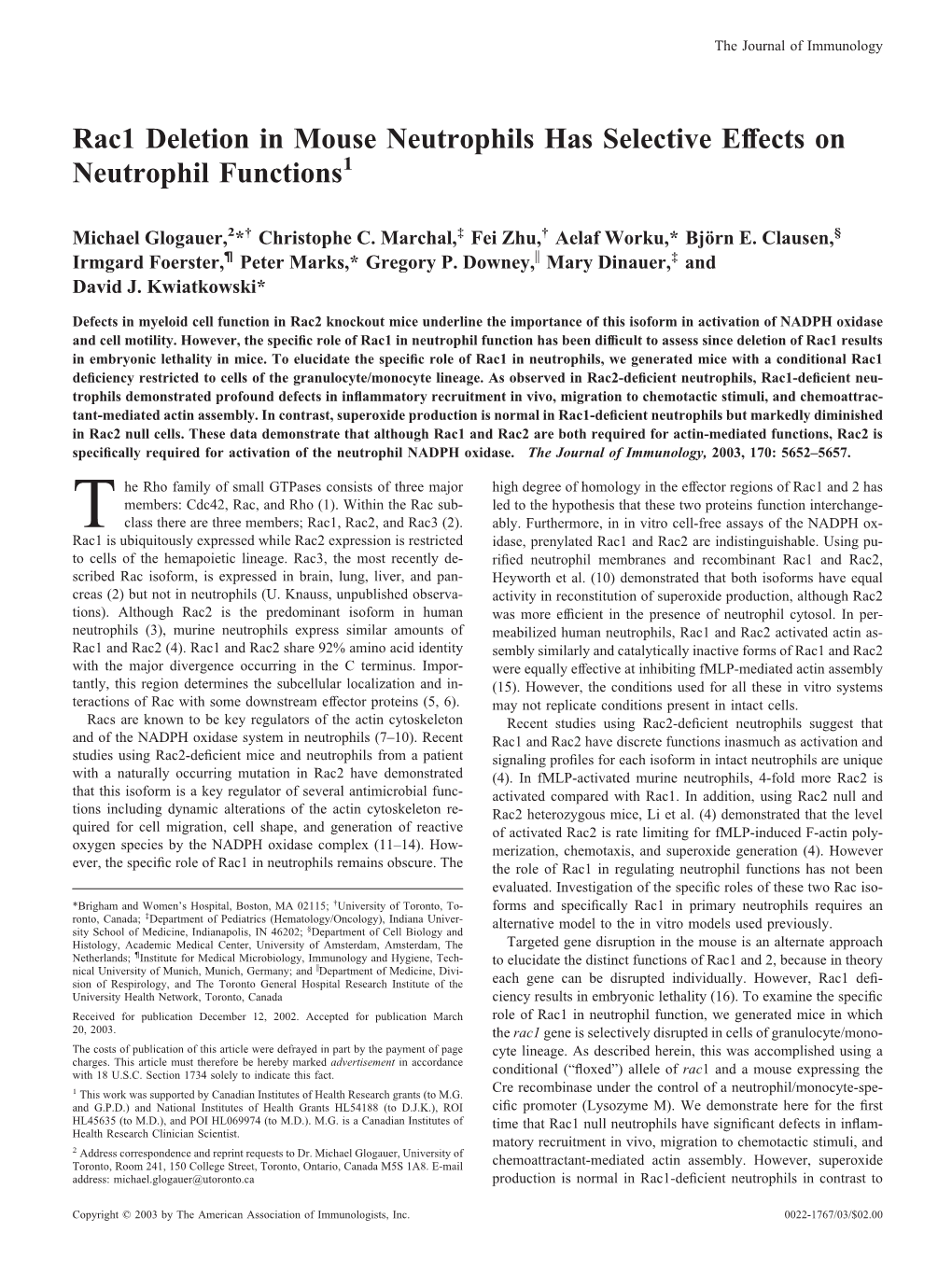 Selective Effects on Neutrophil Functions Rac1 Deletion in Mouse