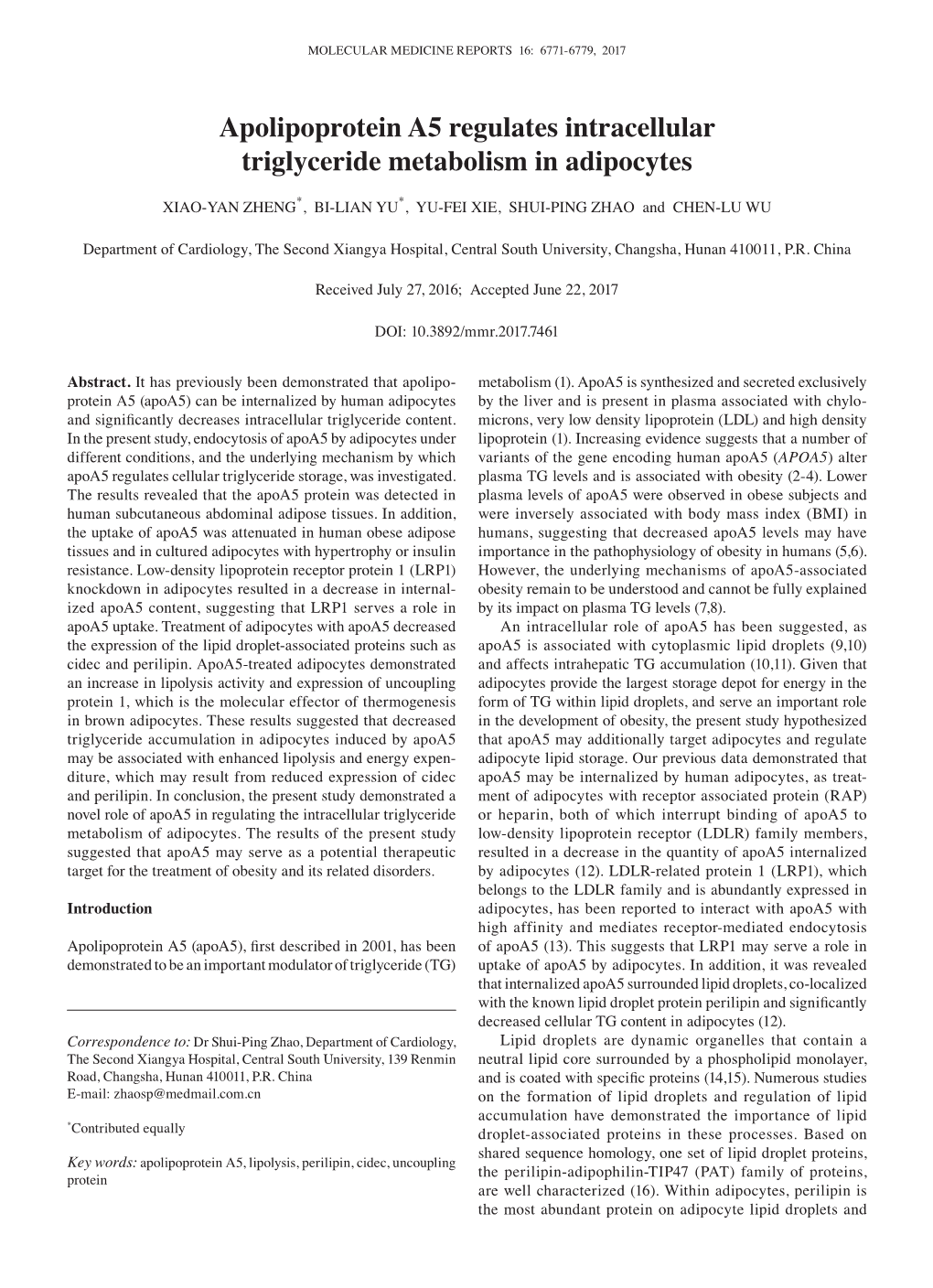 Apolipoprotein A5 Regulates Intracellular Triglyceride Metabolism in Adipocytes