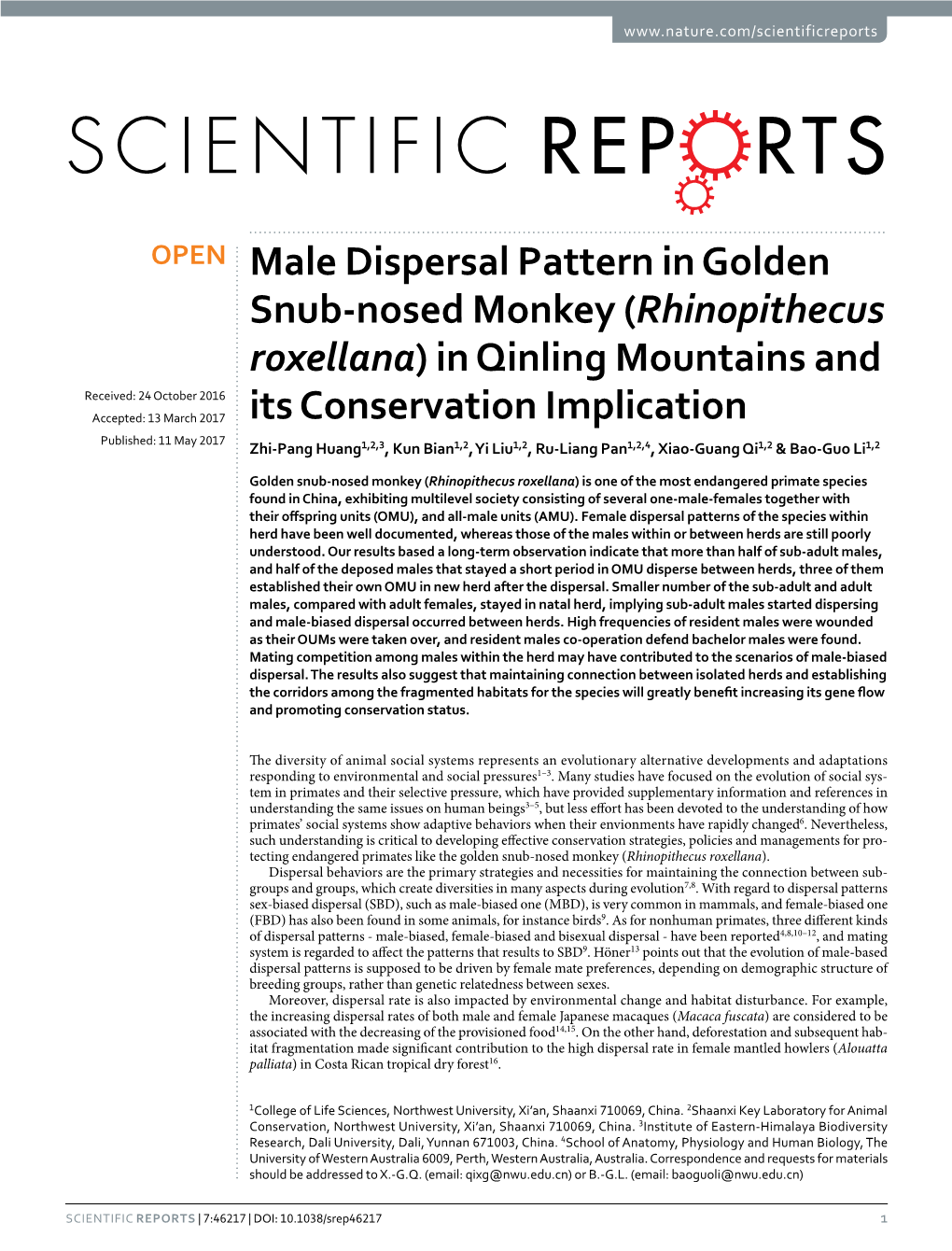Male Dispersal Pattern in Golden Snub-Nosed Monkey (Rhinopithecus Roxellana) in Qinling Mountains and Its Conservation Implication