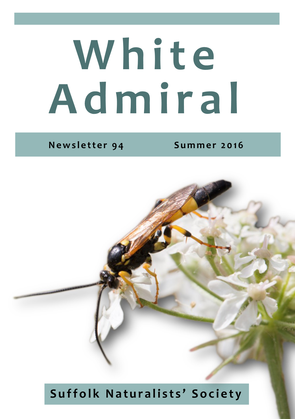 White Admiral Newsletter