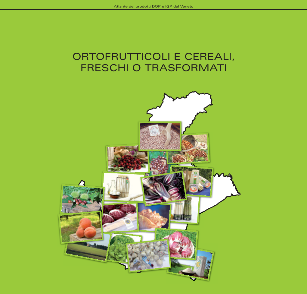 ORTOFRUTTICOLI E CEREALI, FRESCHI O TRASFORMATI Atlante Dei Prodotti DOP E IGP Del Veneto