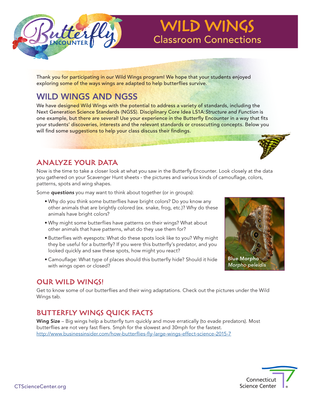 Wild Wings – Classroom Connections