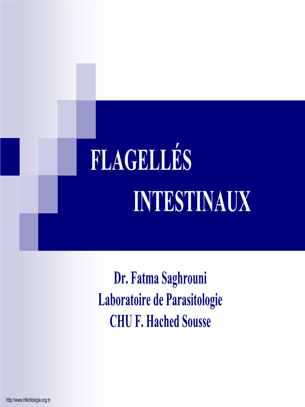 Flagellés Intestinaux