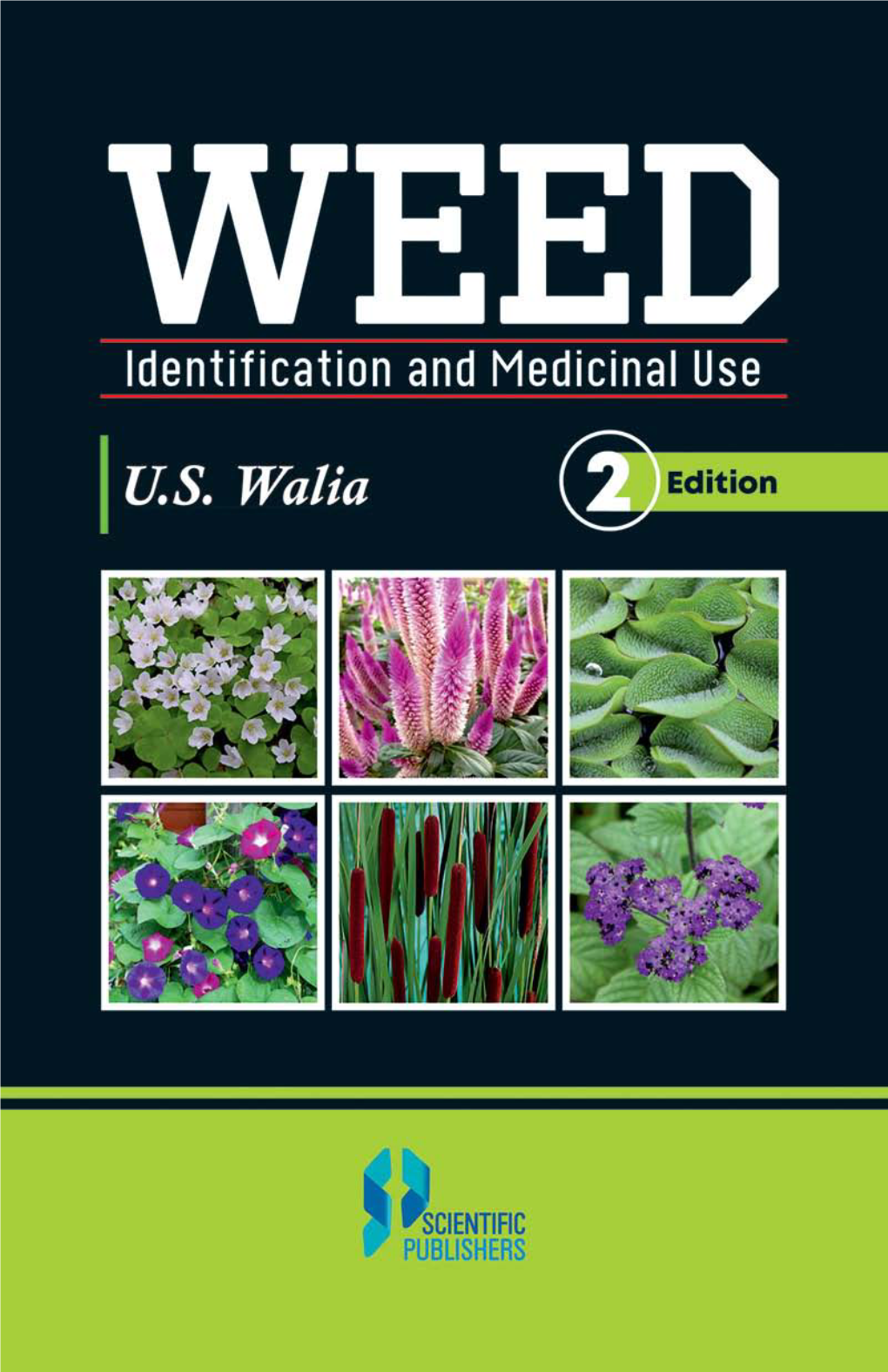 Weed Identi Ications and Medicinal