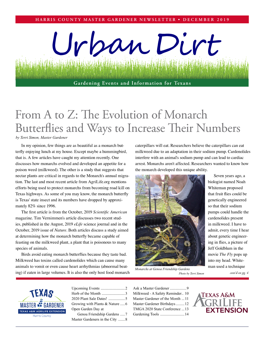 The Evolution of Monarch Butterflies and Ways to Increase Their Numbers by Terri Simon, Master Gardener