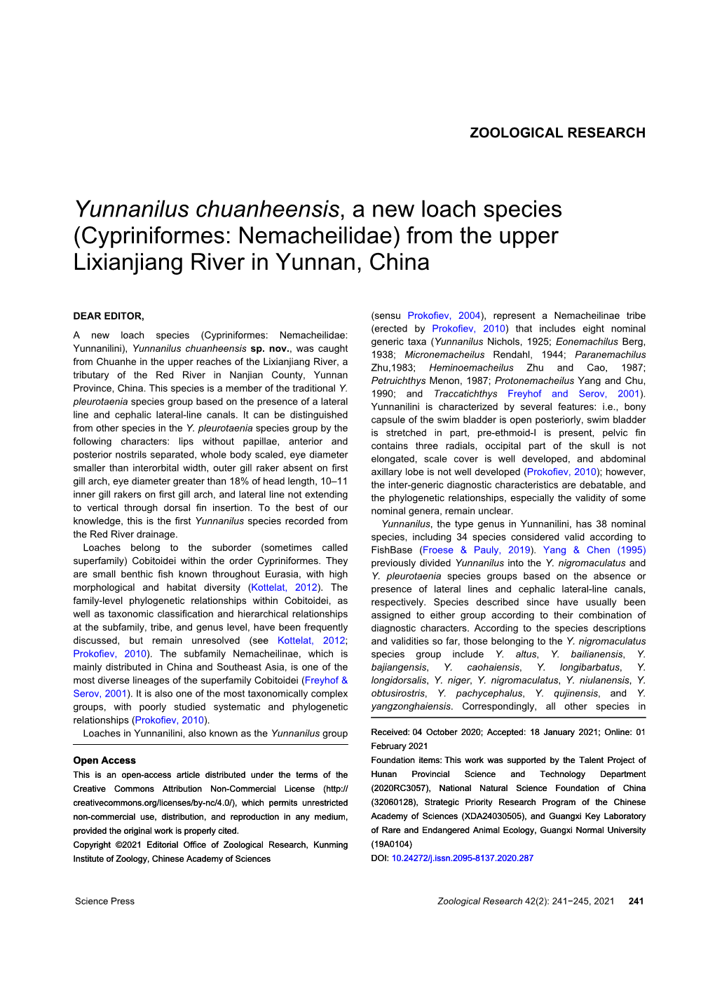 Yunnanilus Chuanheensis, a New Loach Species (Cypriniformes: Nemacheilidae) from the Upper Lixianjiang River in Yunnan, China