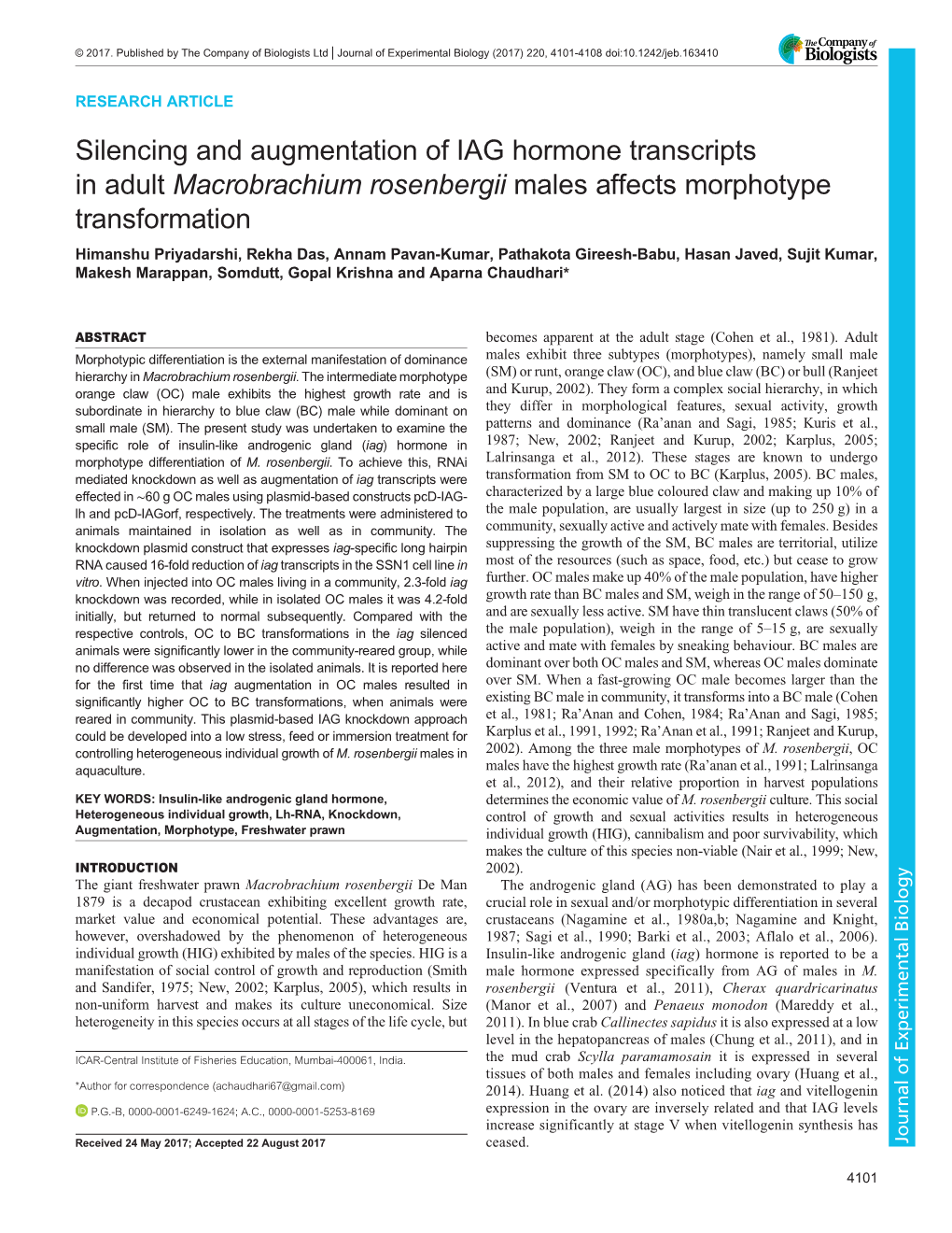 Silencing and Augmentation of IAG Hormone Transcripts in Adult