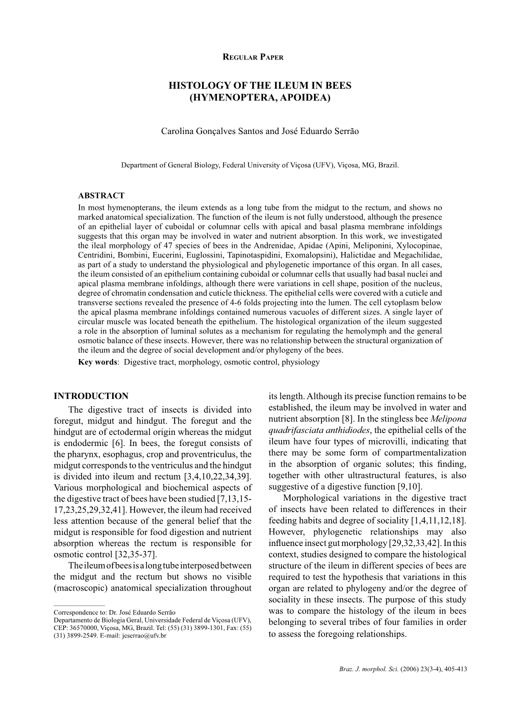 Histology of the Ileum in Bees (Hymenoptera, Apoidea)